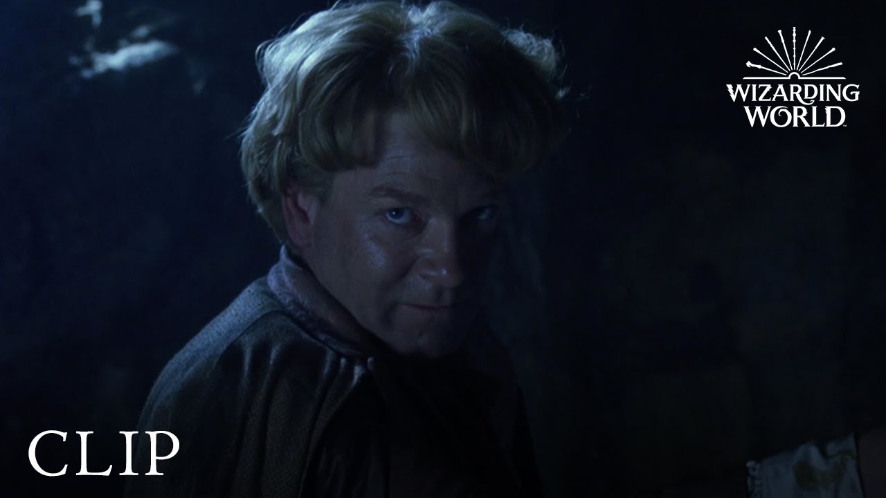 Gilderoy Lockhart Loses His Memory | Harry Potter and the Chamber of Secrets