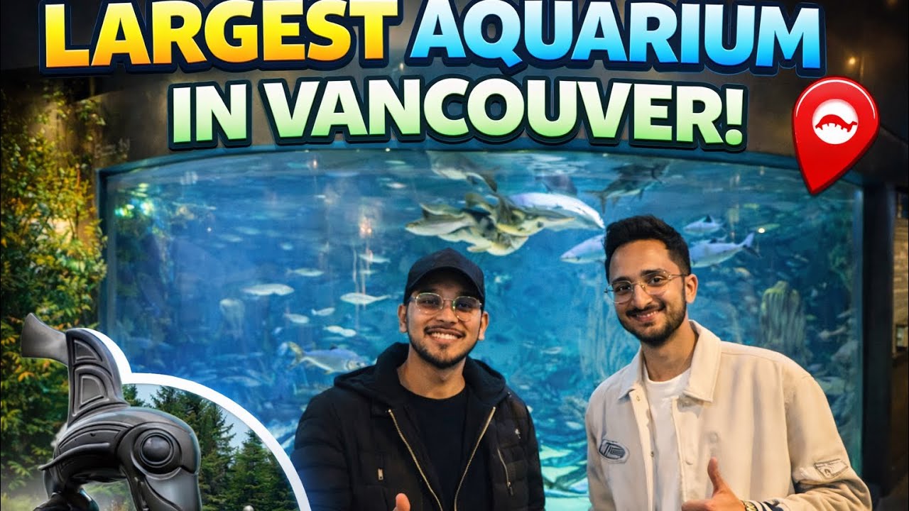 Largest Aquarium in British Columbia in Vancouver #canadadiaries #internationalstudent #dailyvlog 