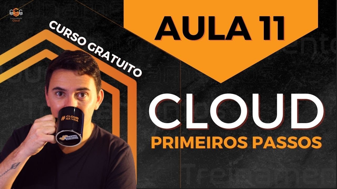 AULA 11 - DESENVOLVEDOR