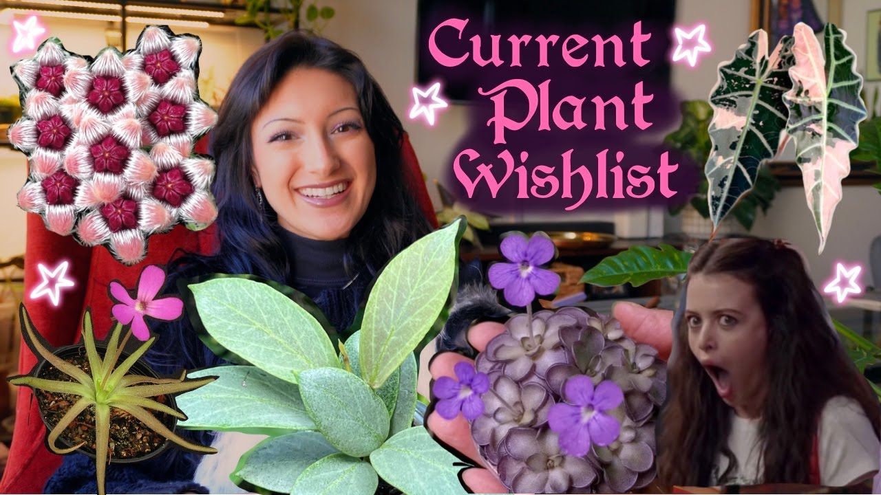My Current Plant Wishlist✨🪄🌱 (Quirky Girl Approved)