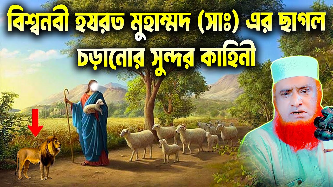 বিশ্বনবী হযরত মুহাম্মদ (সাঃ) এর ছাগল চড়ানোর সুন্দর কাহিনী । bozlur roshid waz download ।