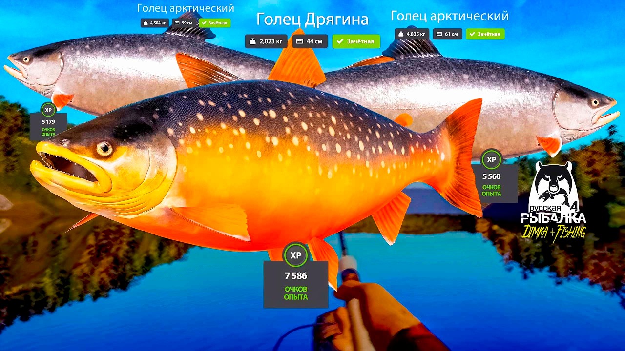 Русская рыбалка 4.🎣 р. Нижняя Тунгуска 🐋🐋🐋💦 от LATORSO 👀