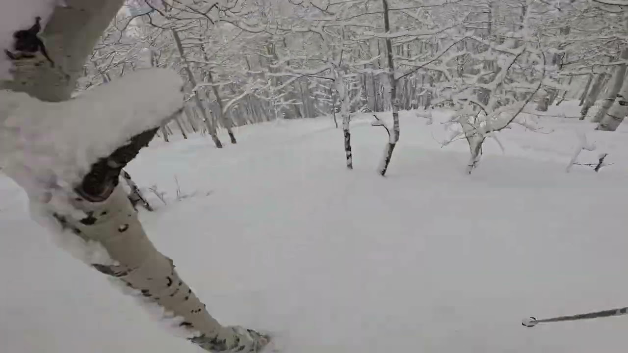Canyons UT Surprise Pow Day 3/6/2026