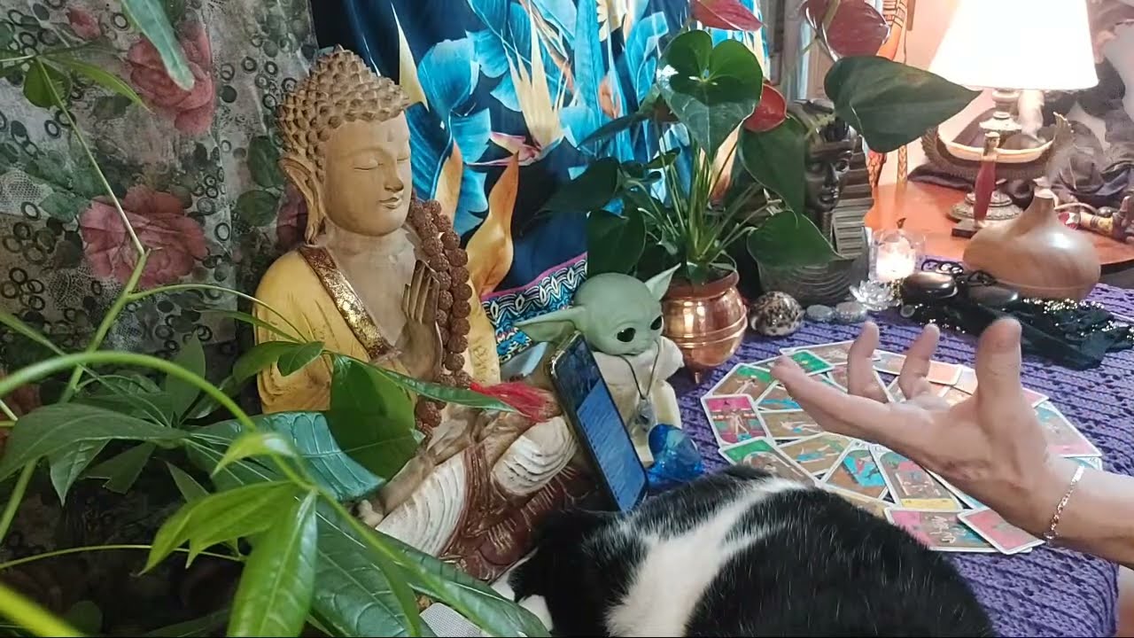 SUA VIDA NA MANDALA ASTROLOGICA