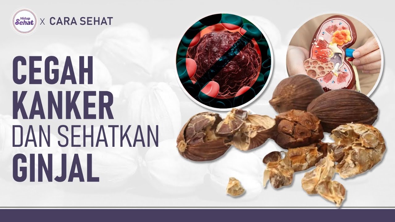 Manfaat Kapulaga: Alami Mencegah Kanker dan Menyehatkan Ginjal! | Hidup Sehat tvOne