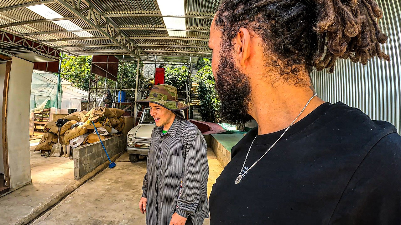 Immersion chez les PRODUCTEURS LOCAUX 🌿 au Costa Rica 🇨🇷