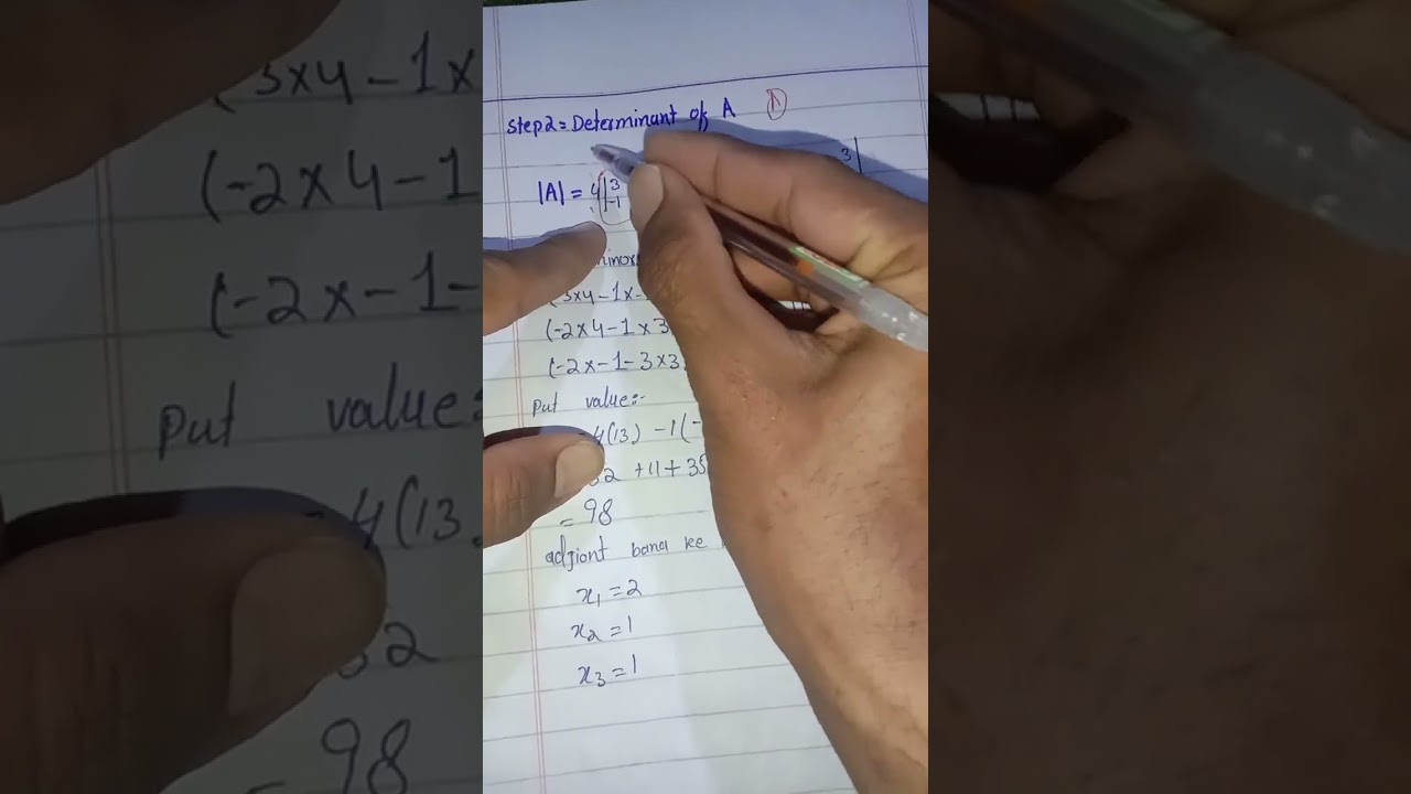 Inversion matrix/Profit maximum/Hessian theory/Lagrangian multipliers method