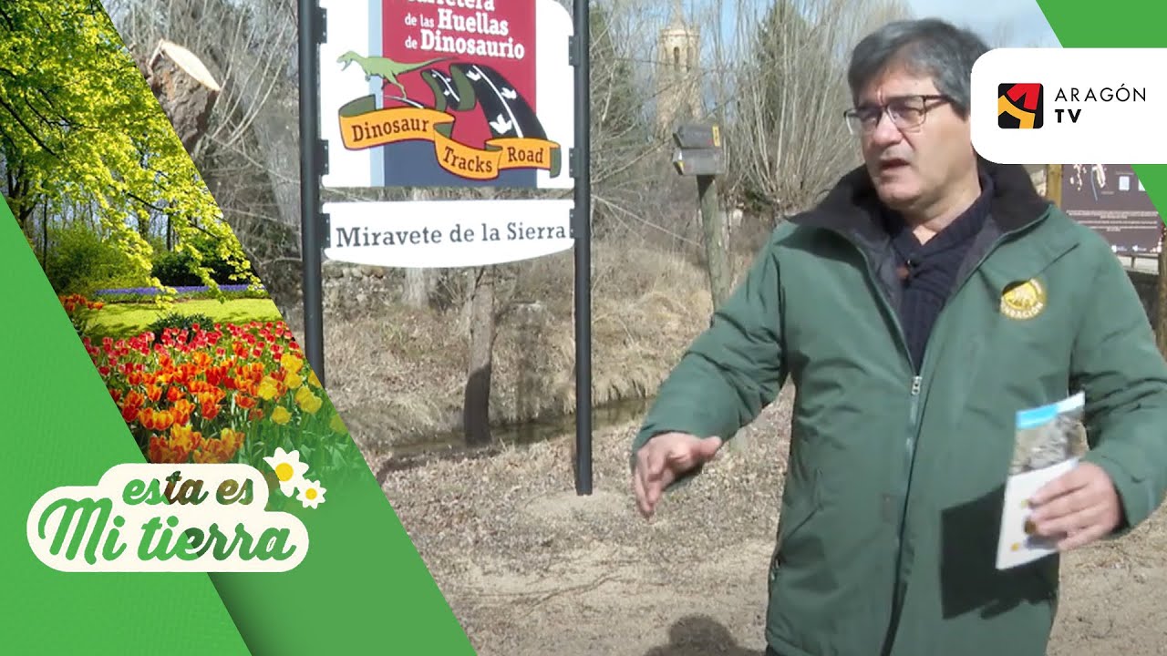 Siguiendo las huellas de los dinosaurios en Miravete de la Sierra