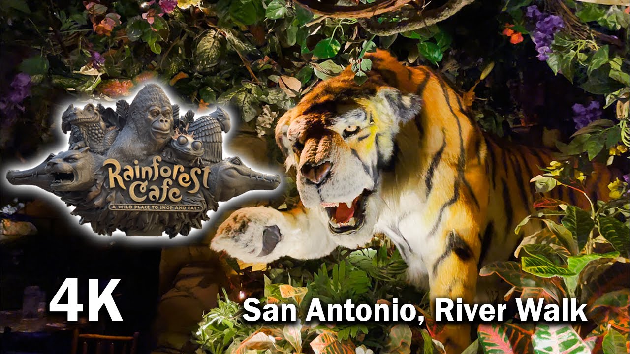 Rain Forest Café: San Antonio Adventure!