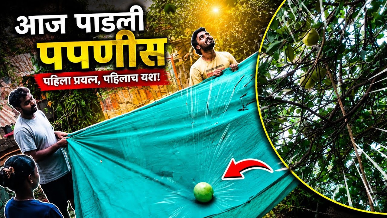 आज पडली पपणीस