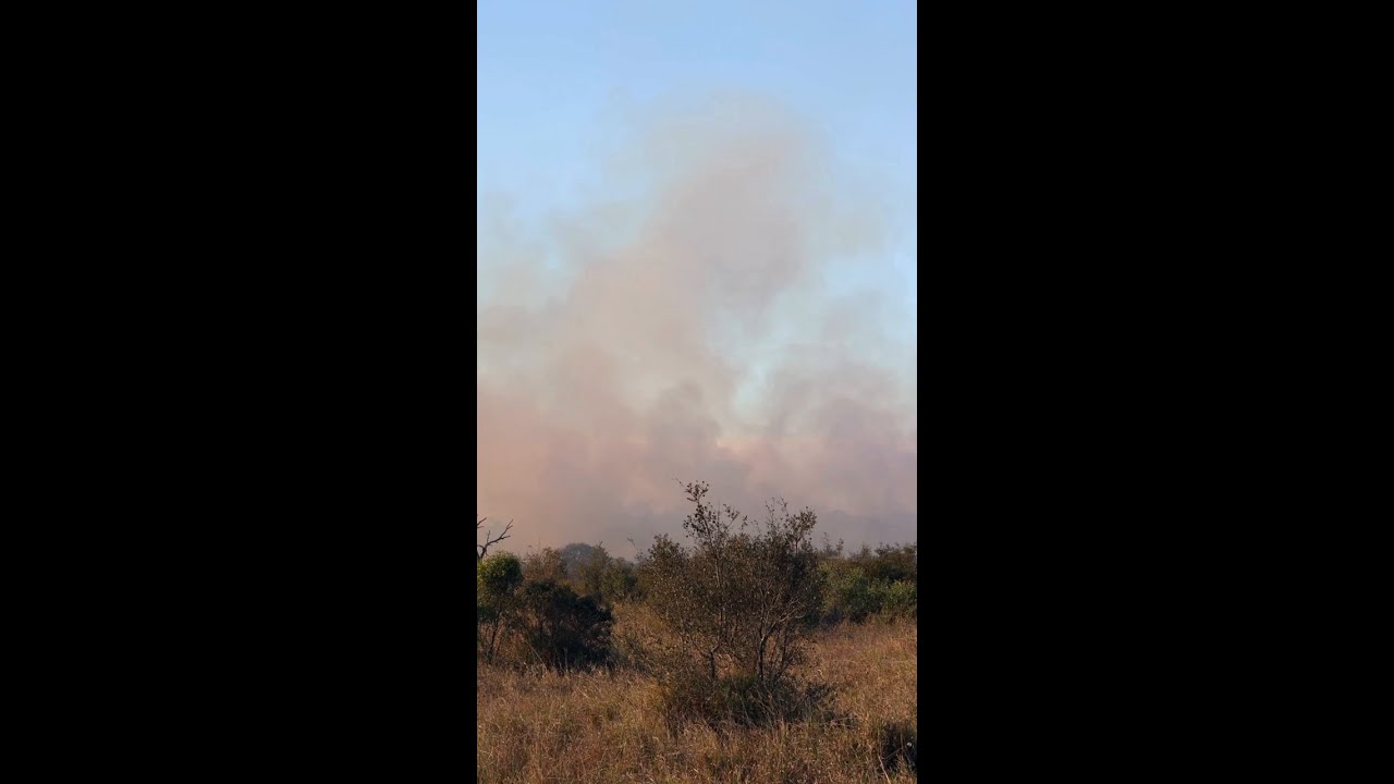 Safety with Sarah: What Weather Conditions Increase Wildfire Danger?