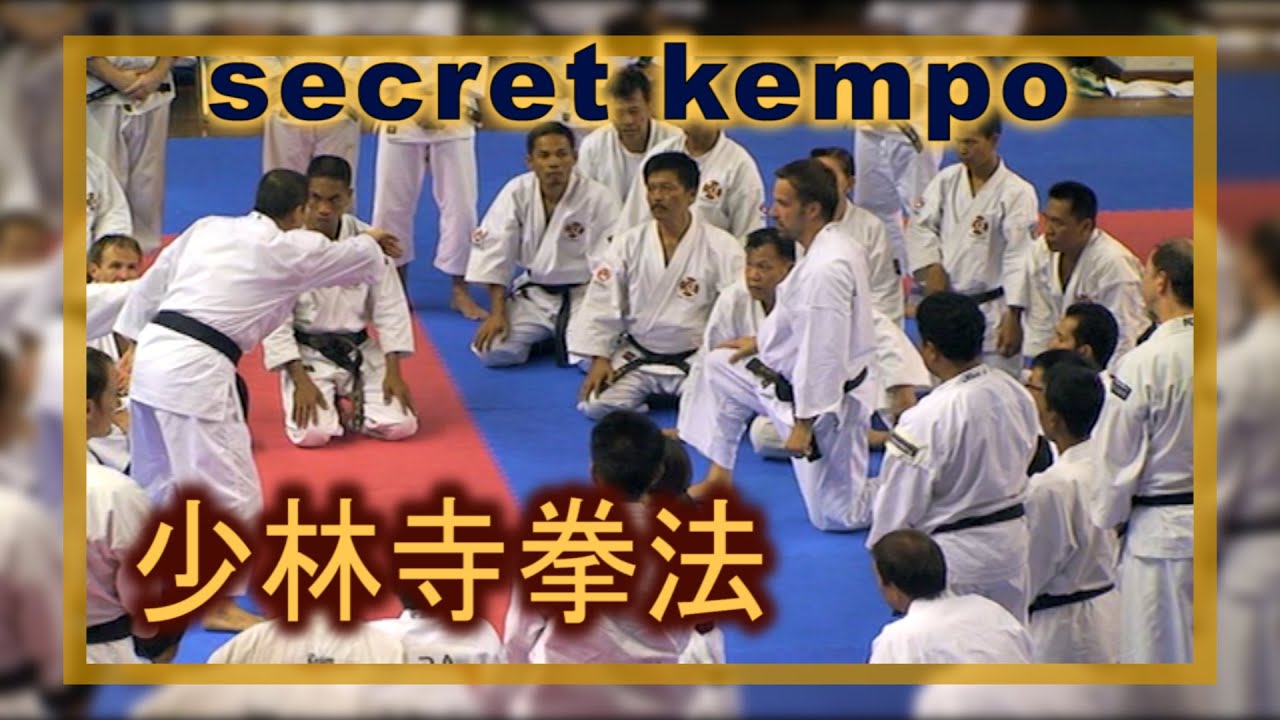 Shorinji Kempo techniques. Kiri Gote, kiri kaeshi nuki. Yamasaki, Kawashima sensei. 少林寺拳法 技. 武道少林寺拳法
