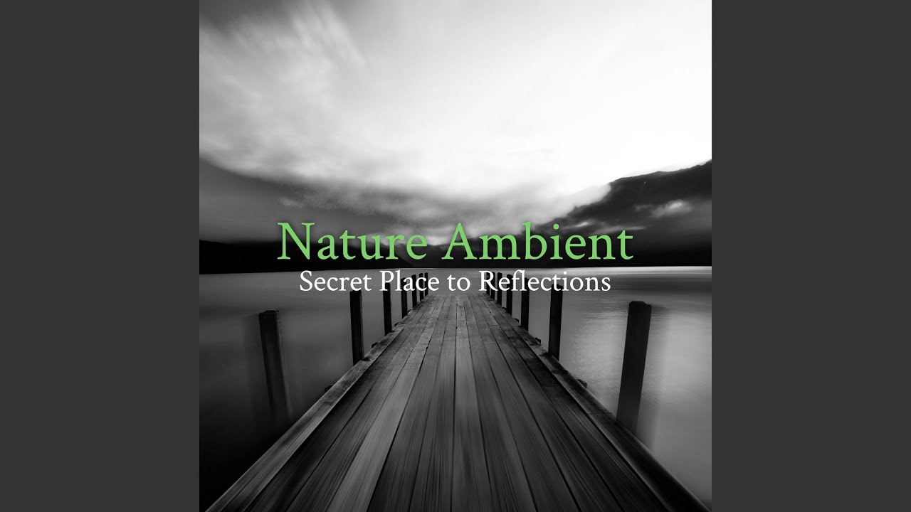 Holistic Techniques