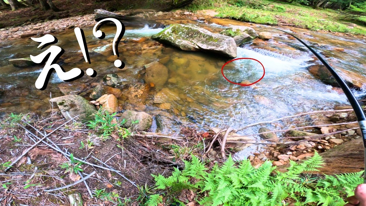 鳥取のド田舎の山奥にヤバい外来魚が…！！？