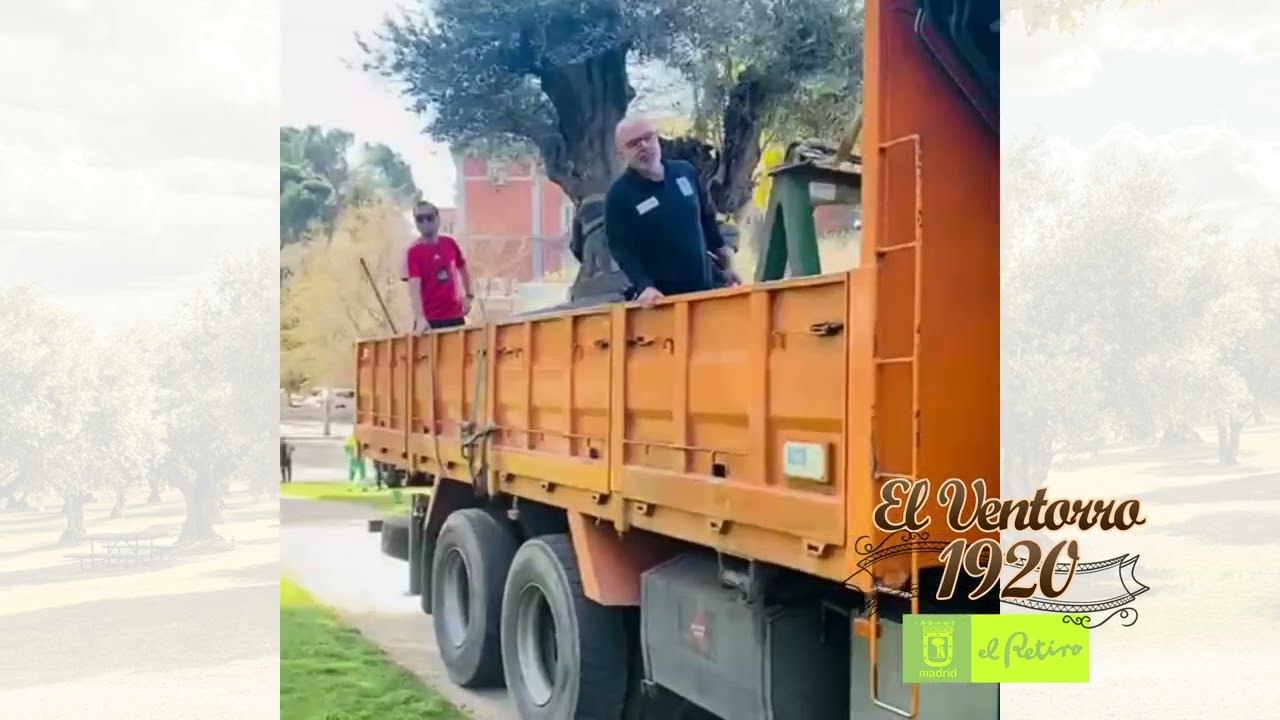 ✅ Olivo de El Retiro • EL VENTORRO 1920