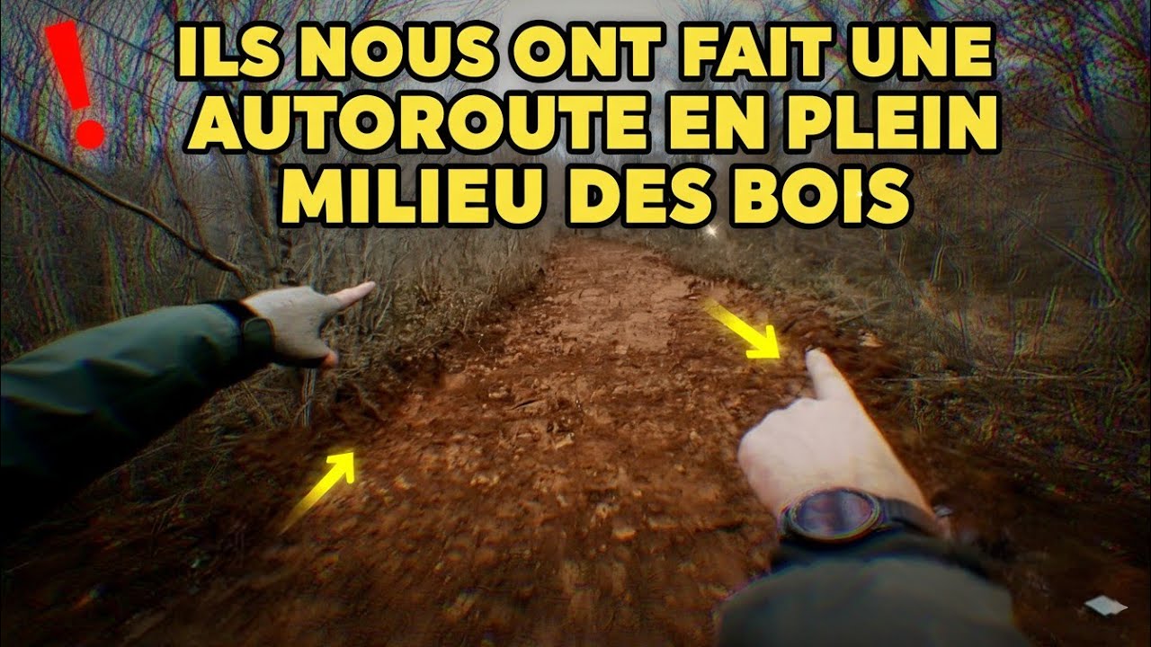 une autoroute en plein milieu des bois. 😲#metaldetecting  @princedric1216 @TerreHappy88 