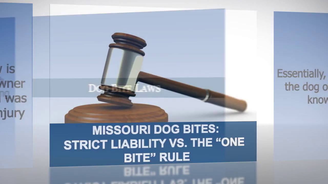 Missouri Dog Bites: Strict Liability vs. The 