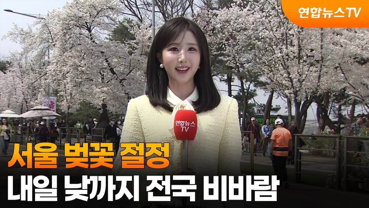 [날씨] 서울 벚꽃 절정&hellip;내일 낮까지 전국 비바람 / 연합뉴스TV (YonhapnewsTV)