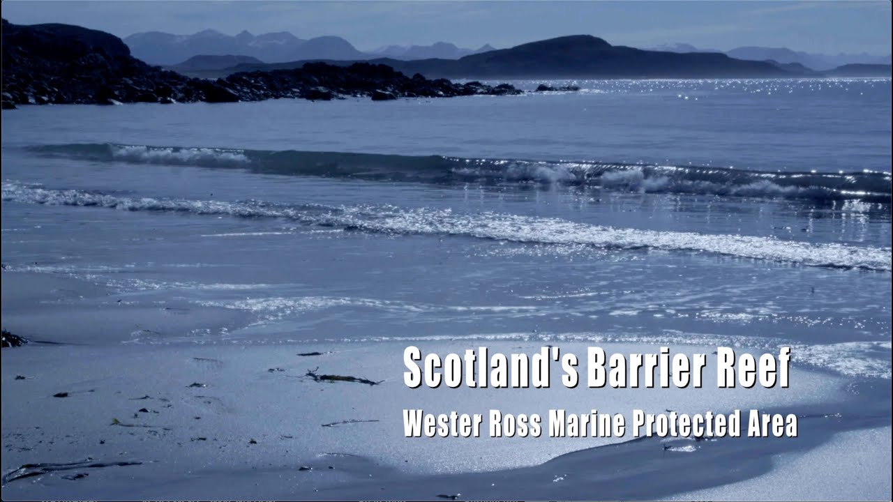 Pink Maerl and Salmon Farms &ndash; Jason Hall Spencer in the Highlands