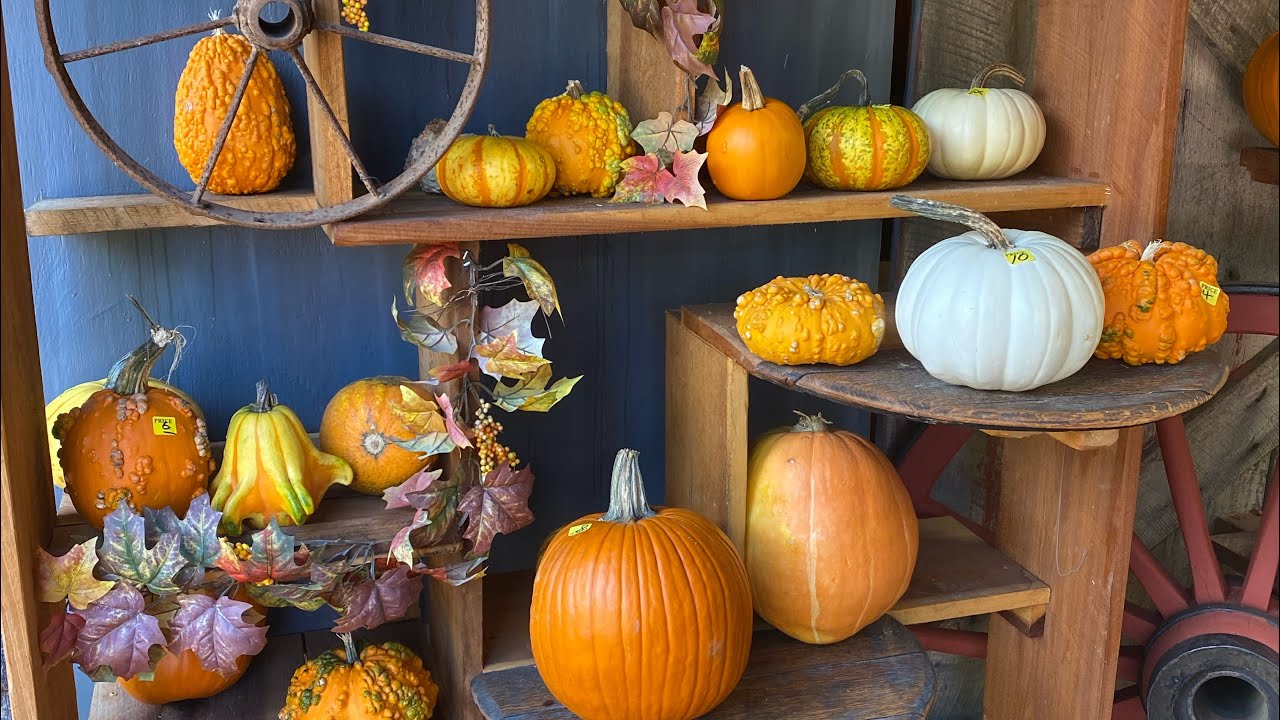 Halloween Fun: Spooky Treat, Fall Wreath Making, Jewelry, Fudge and Spooky Short Film