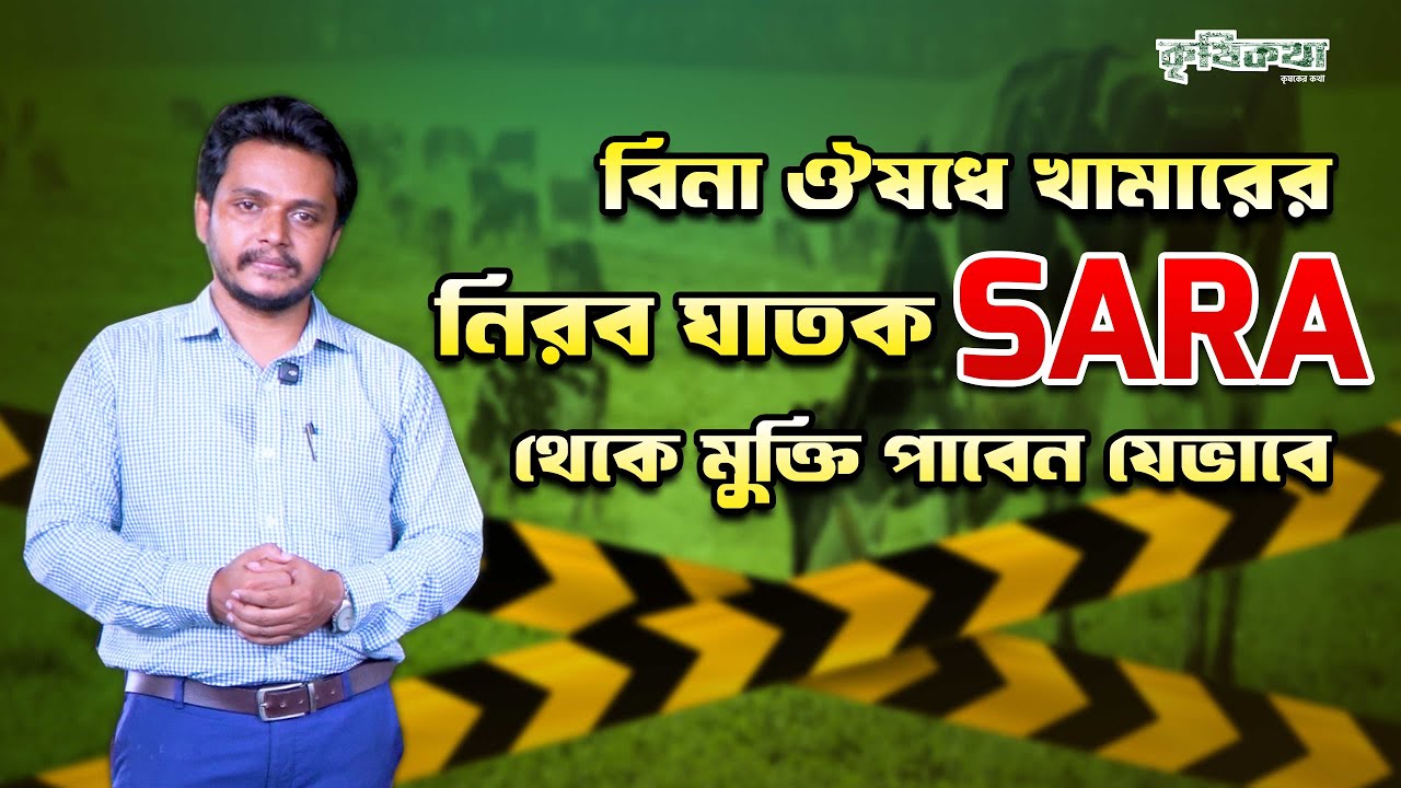 বিনা ঔষুধে খামারের নিরব ঘাতক SARA থেকে মুক্তি পাবেন যেভাবে । ডাঃ জোনায়েদ কবির