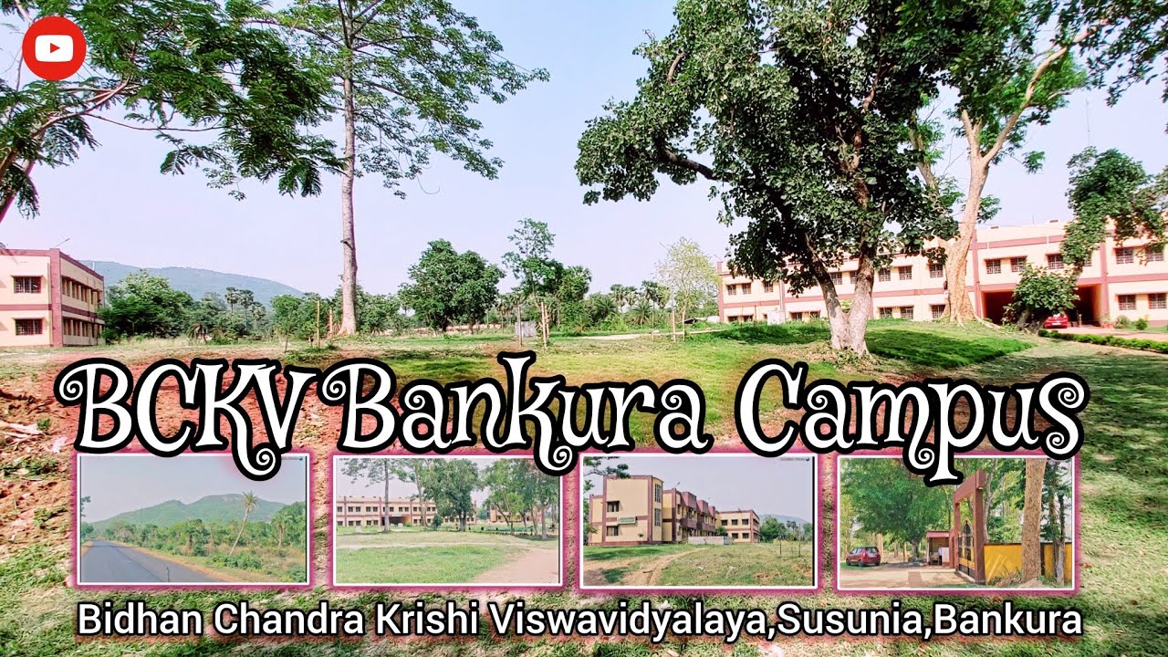 BCKV Bankura Campus ll Susunia ll Bidhan Chandra Krishi Viswavidyalaya ll Part-20