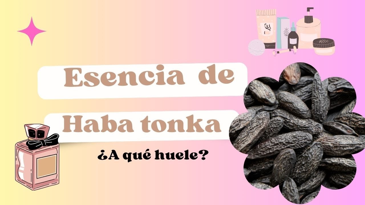 Cómo hacer EXTRACTO de HABA  TONKA  para  tus COSMÉTICA y PERFUMES  Aroma sensual
