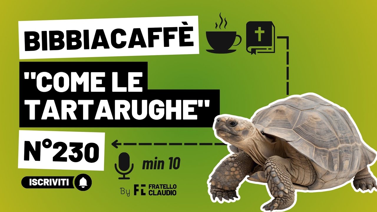 Come tartarughe | Bibbiacaffè n.230 - Fratello Claudio 