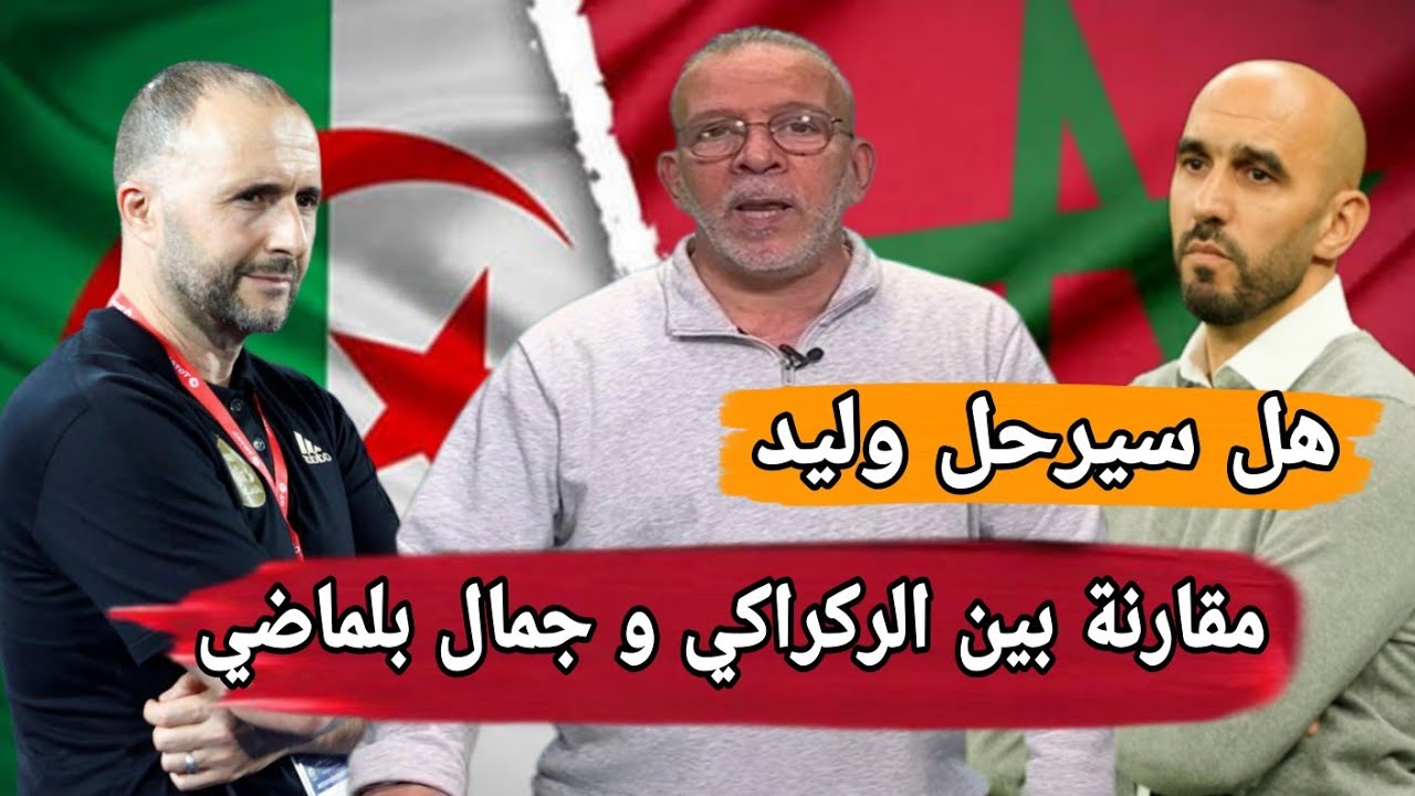 تصريح مثير من دراجي حول مستقبل الركراكي ومقارنة صادمة مع بلماضي!