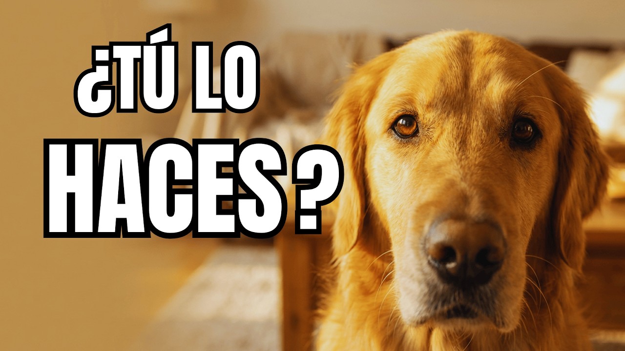 Lo Que Tu Perro NECESITA de Ti Cada Día (Casi NADIE Lo Hace)