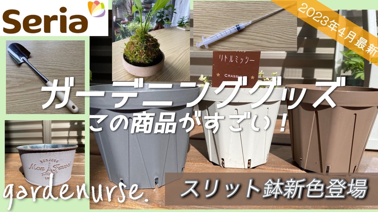 【話題の新色登場】2023年4月セリア買ってよかったガーデニンググッズ【スリット鉢】【苔玉の巻き直し】