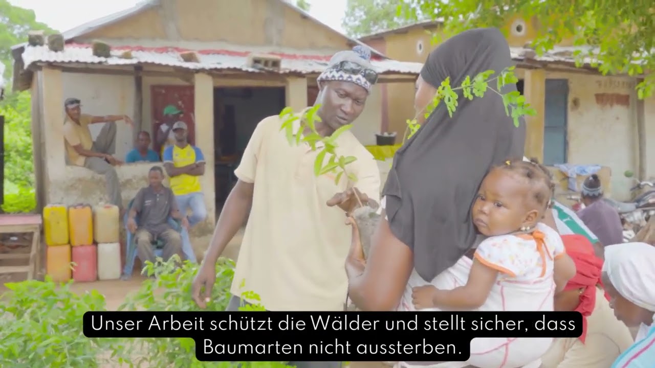 Aufforstung im Senegal