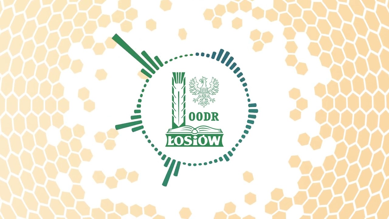 Inne produkty związane z apiterapią - Nowatorskie podejście do pszczelarstwa