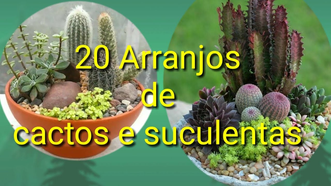 20 ideias de arranjos lindos com cactos e suculentas.