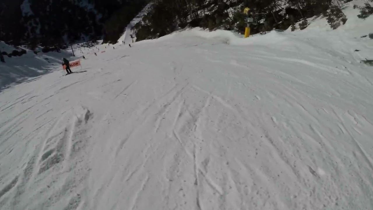 Slalom Gully Mt Hotham