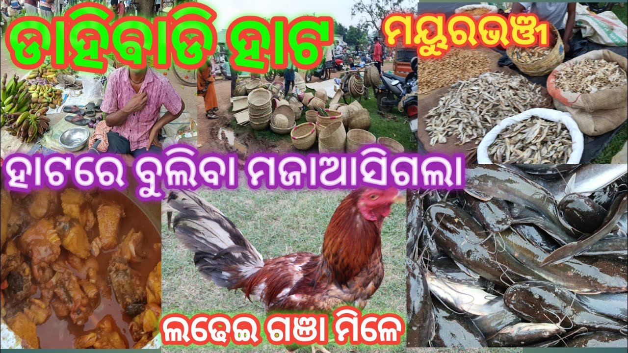 ଡାହିବାଡି ହାଟ (ମୟୁରଭଞ୍ଜ)||Dahibadi hata (Mayurbhanj)||#utubevlog #odia #Dm vlogs 82