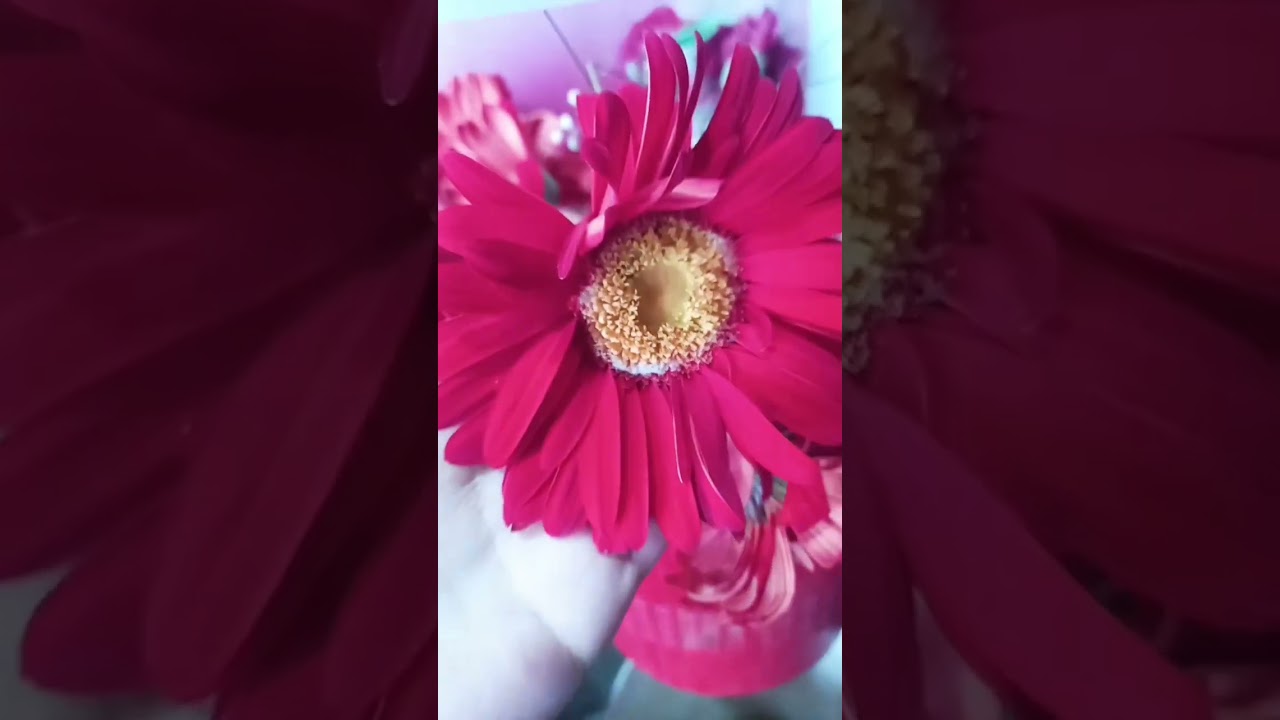 #modernflower#banepa