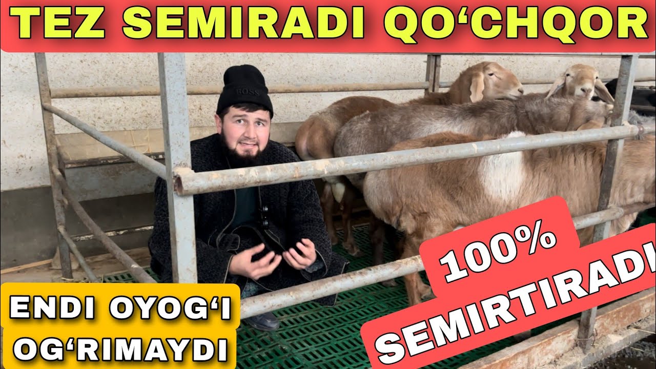 14 YOSHLIK UKAMIZ OSIYODA YAGONA QO‘YXONA IXTIRO QILDI