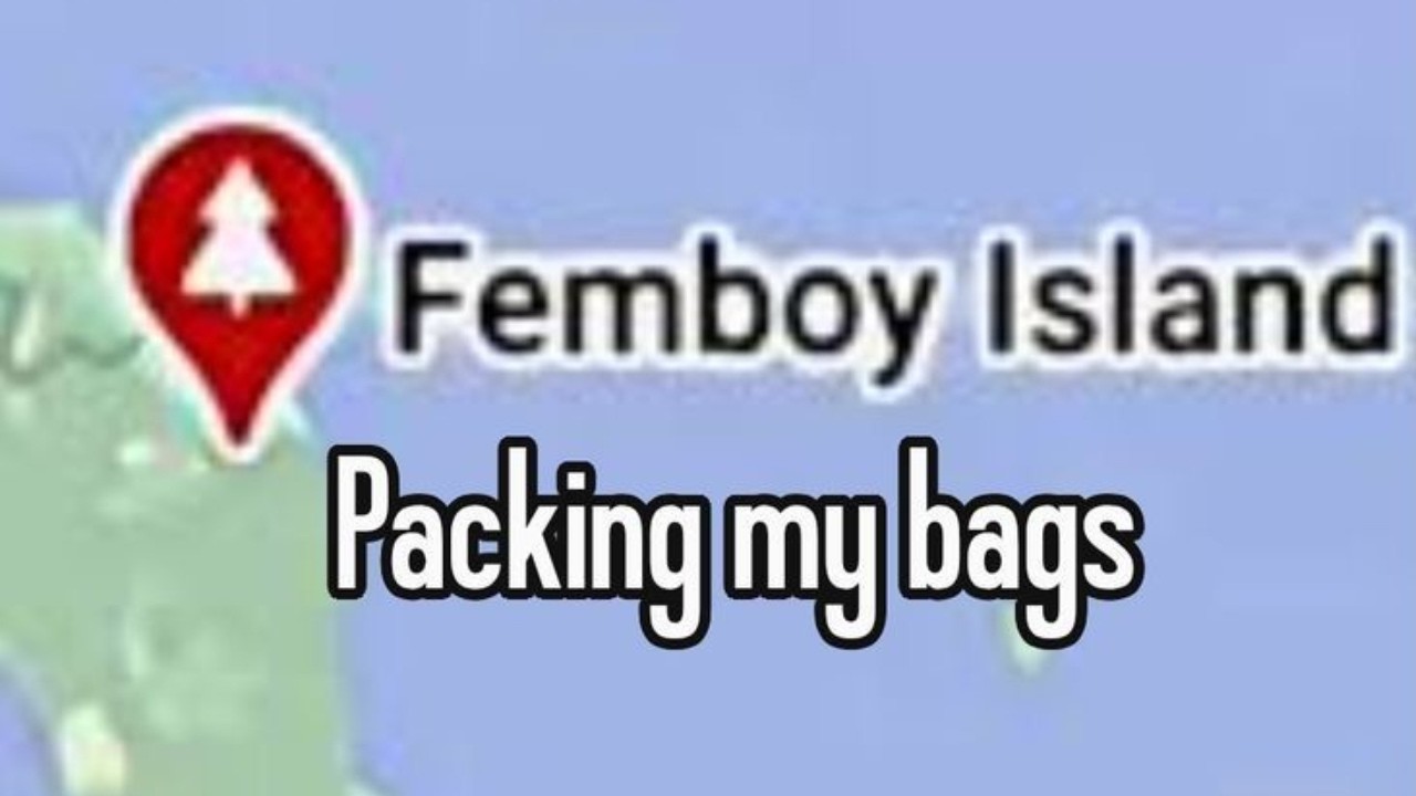 Random memes I permanently borrowed PT.1582