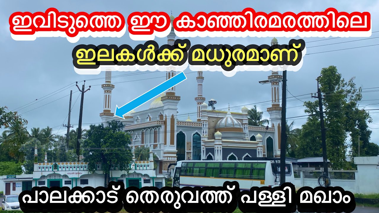 പാലക്കാട് തെരുവത്ത് പള്ളി മഖാം ചരിത്രം