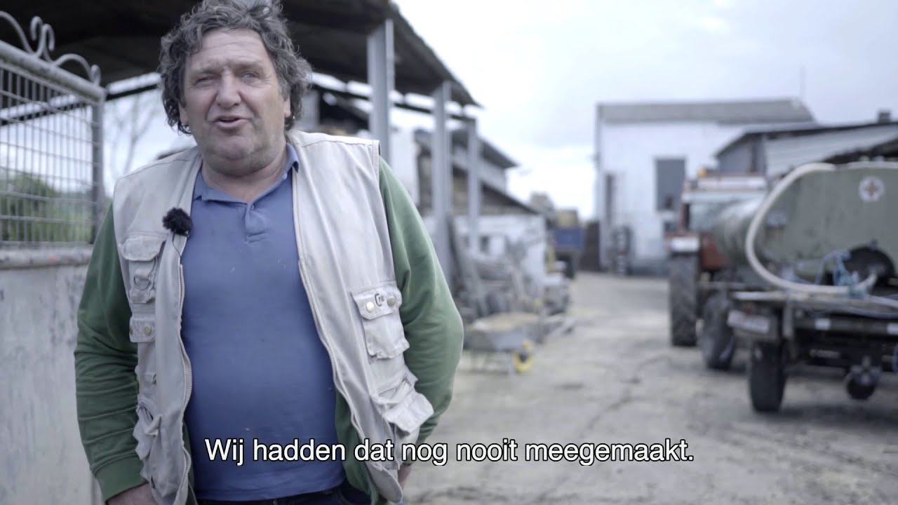 Drij Hoezer - Korte documentaire | Bert Kamoen