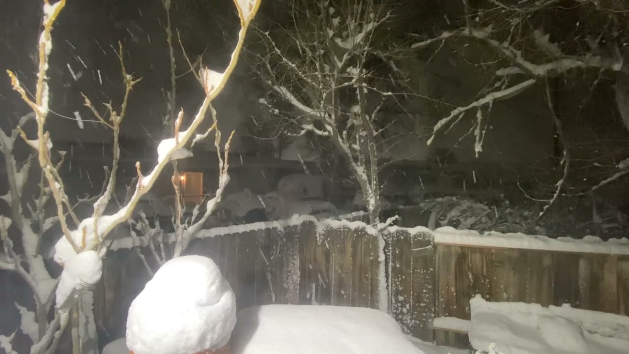 Carson City SNOWDAY Feb 2026 pt3