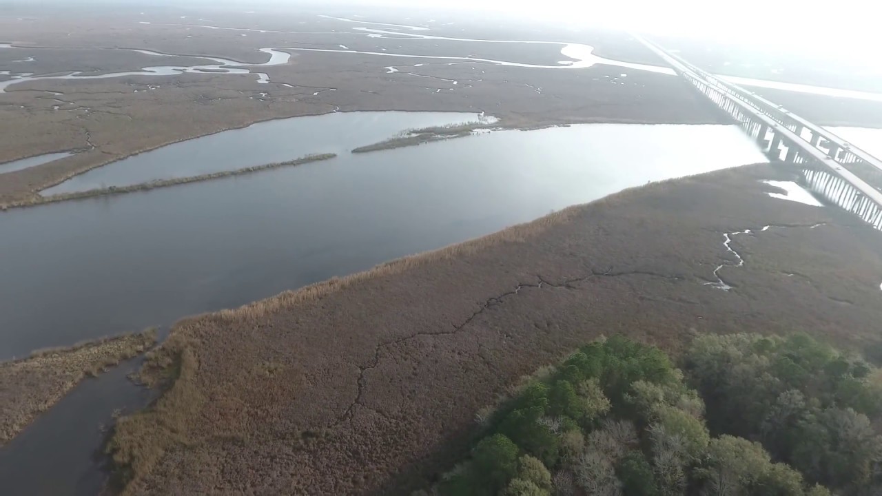 Pascagoula River Delta