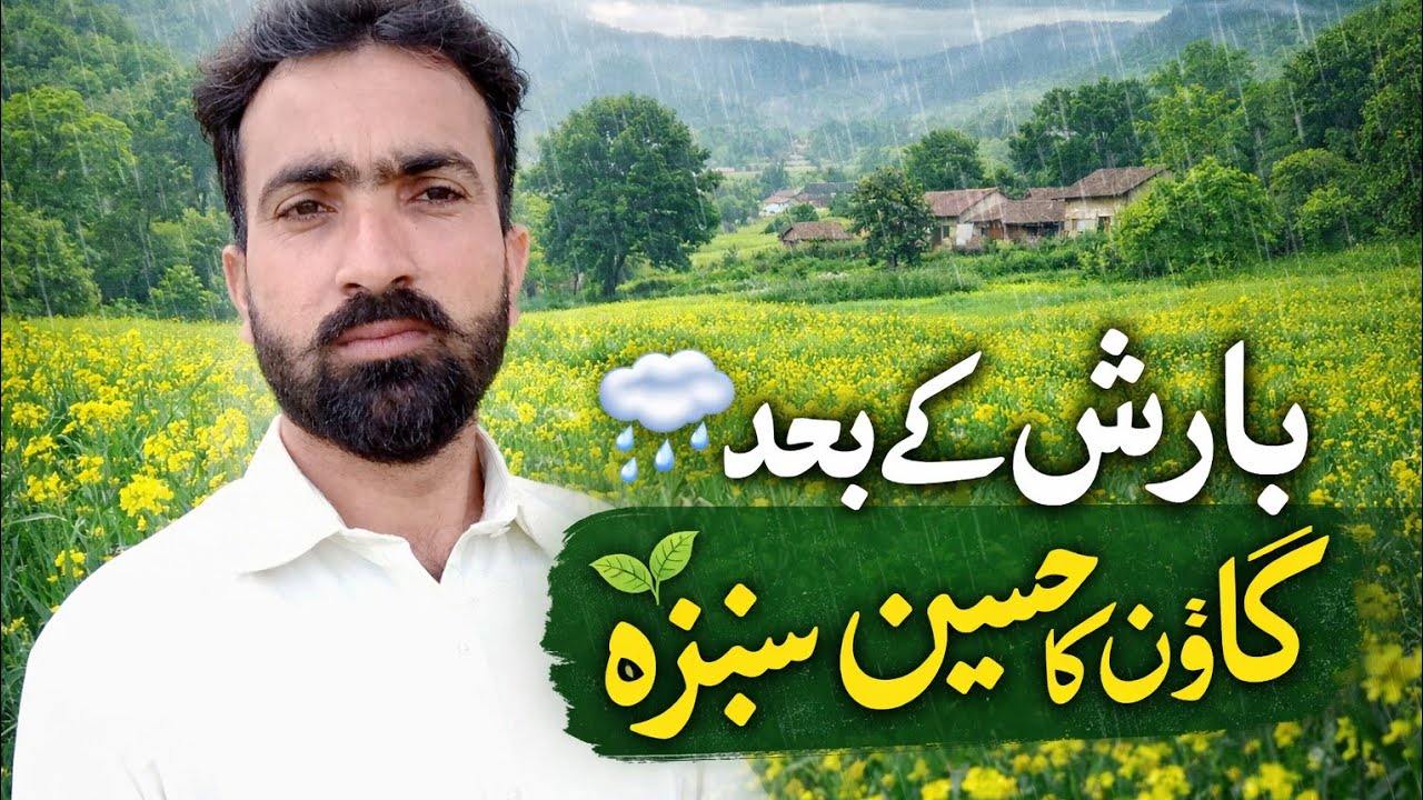 🌧️ بارش کے بعد میرا گاؤں جنت بن گیا | Lush Green Village After Rain