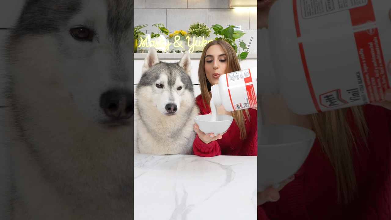 Come CREARE UN ADESIVO NATALIZIO🎅🏼😍🎄 #tutorial #creazioni #creative #cane #dog