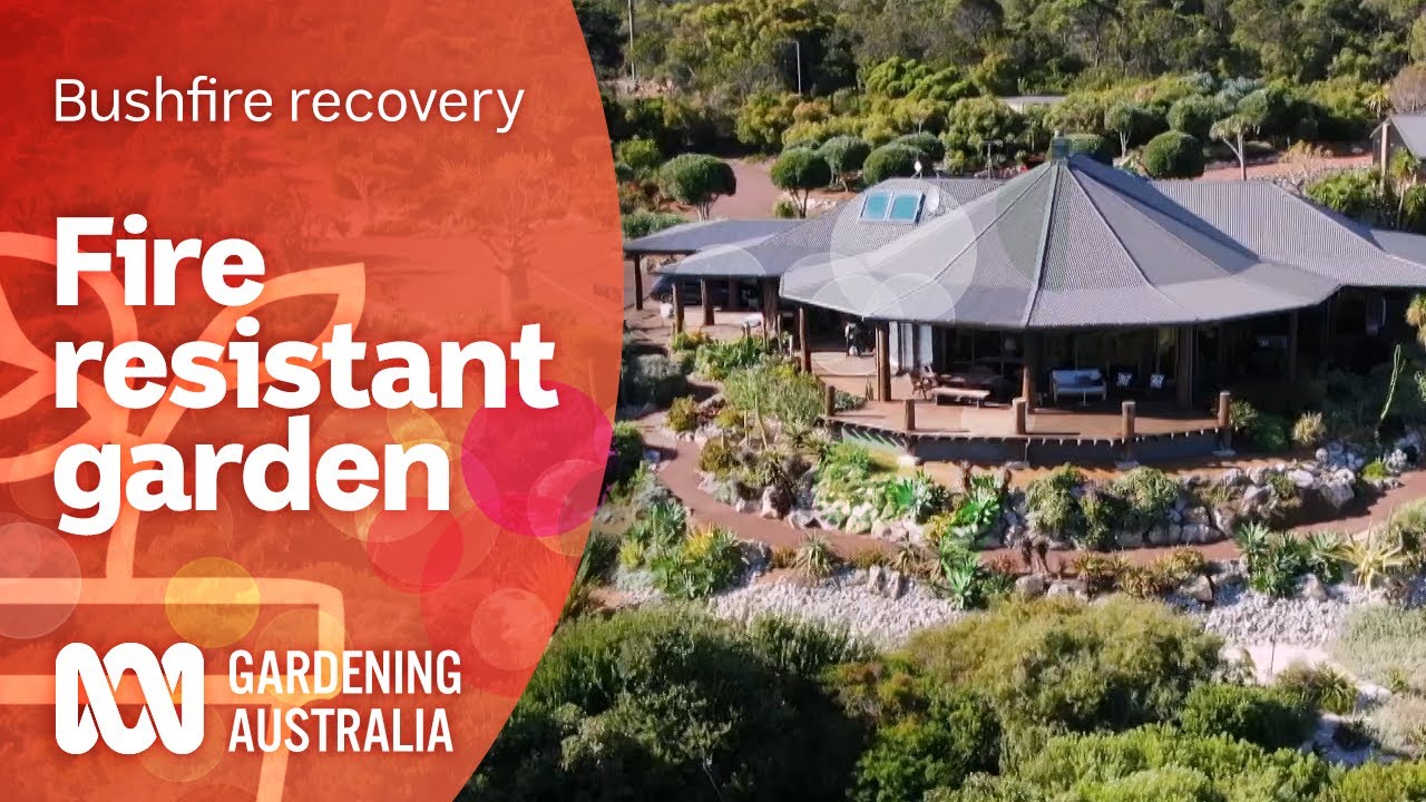 Fire resistant garden | Bushfire recovery | Gardening Australia