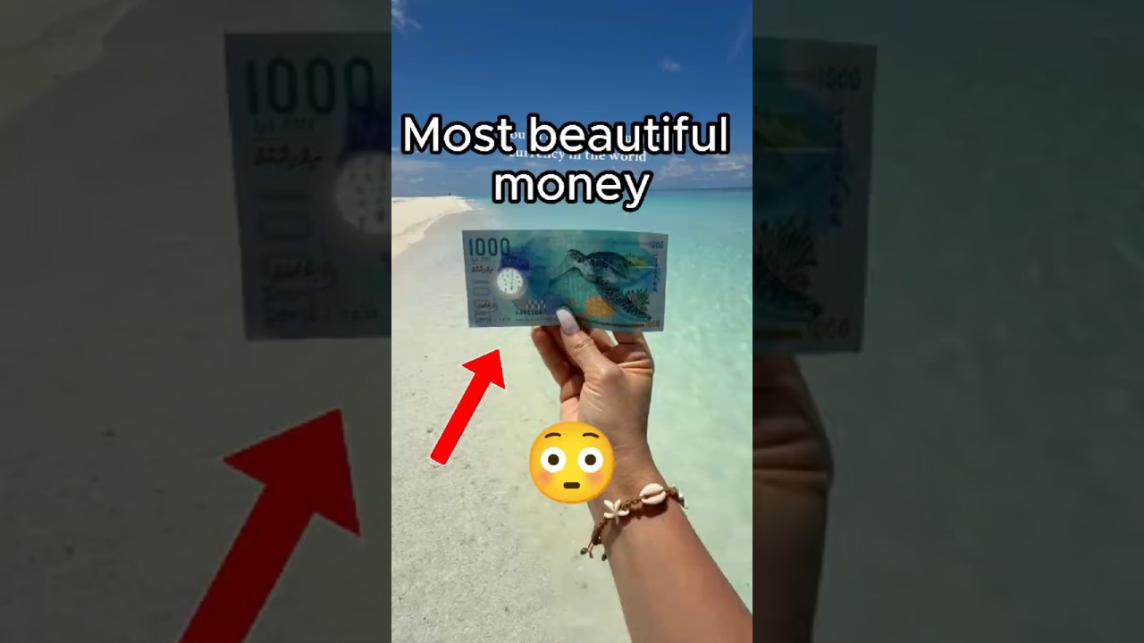 Most beautiful money in the world!!! 😲😲😲