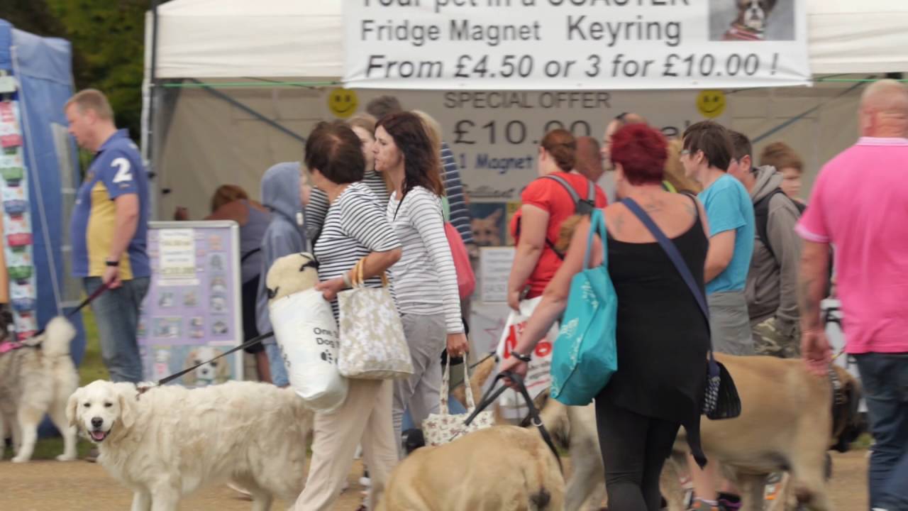 All About Dogs Show 2017