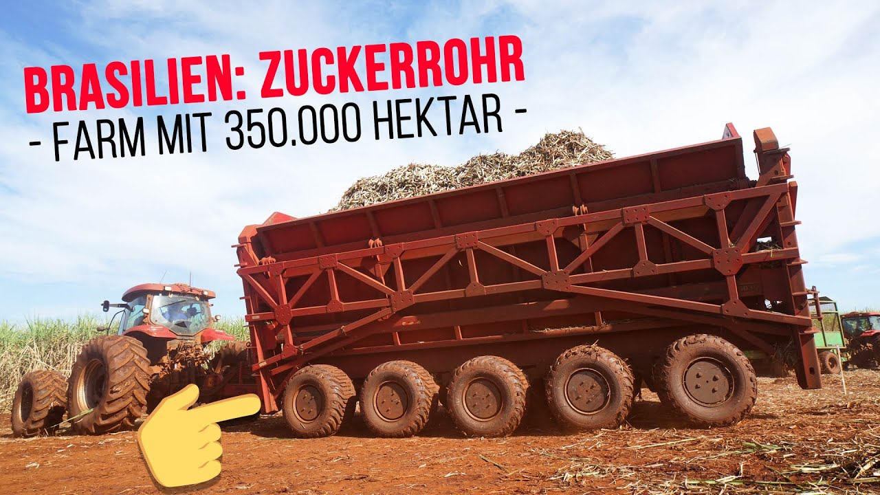 Zuckerrohrernte XXL in Brasilien - Landwirtschaft in Südamerika in 4K