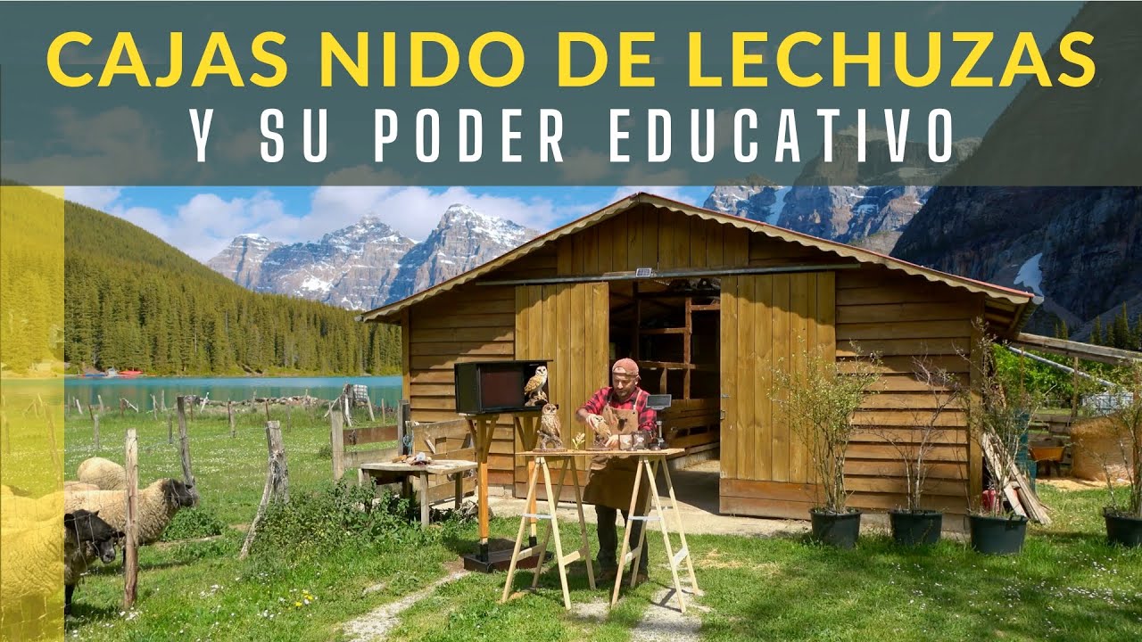 Cap.4 - Cajas nido de lechuzas y su poder educativo